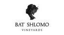 bat-shlomo-logo.8993acbc0ebed75ddf2738b69ec1e50a